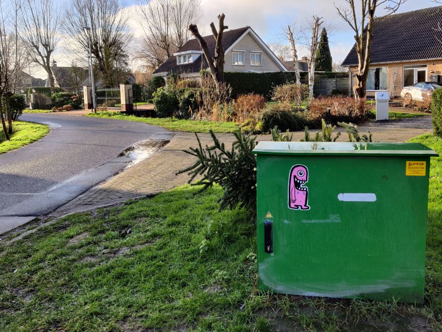 Roze sticker Rijnsburg